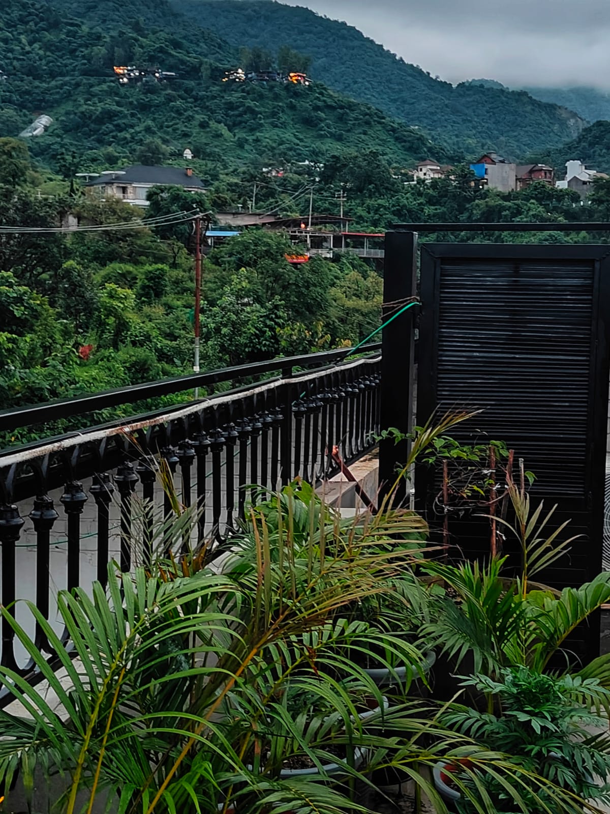 View of the wooded hillside from the terrace